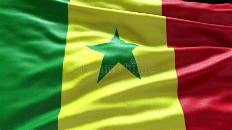 K Render Senegal Flag Video Waving In Wind Senegal Flag Wave Loop