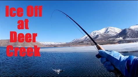 Ice Off Fly Fishing At Deer Creek Reservoir Youtube