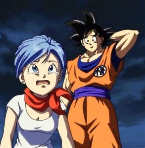 Pin By Cindy Richerson On Goku And Bulma Goku And Bulma Bulma Anime