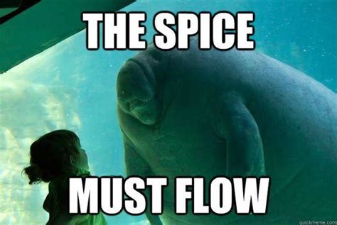 Manatee Spice Flow The Spice Must Flow Know Your Meme