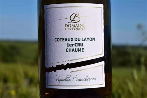 Coteaux Du Layon 1er Cru Chaume Domaine Des Forges