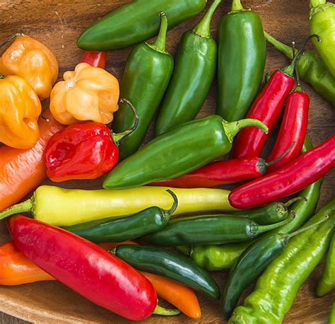 Сорта острого перца: лучшие виды вкусных жгучих перцев для домашнего ...