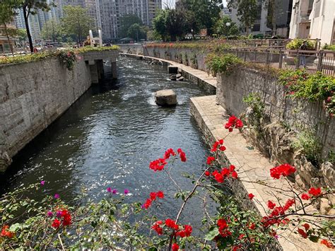 kai tak river trail hong kong