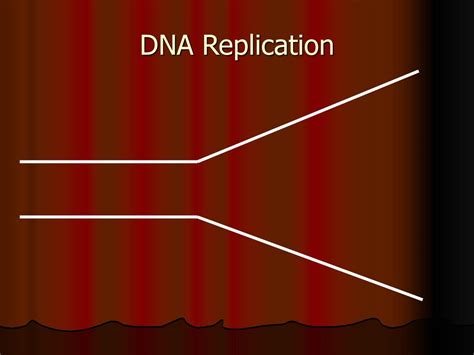 Dna Replication Ap Biology Ppt Download