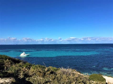 Rottnest Island Highlights Sehensw Rdigkeiten Tipps