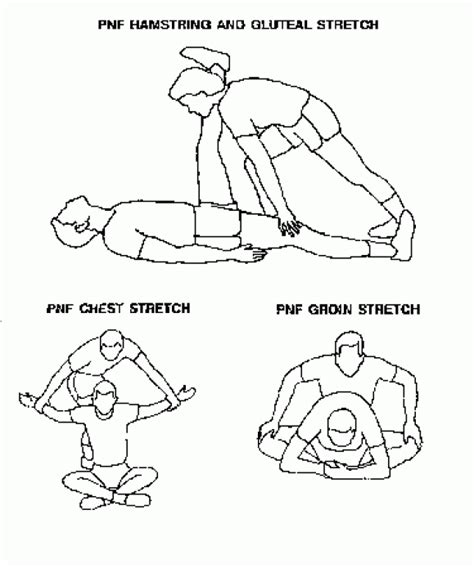 pnf stretching exercises - Google Search #PNFStretching | Pnf ...