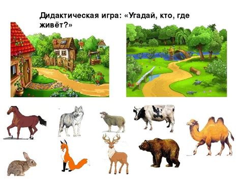 Найди Домик Для Животных Картинки Для Детей — Картинки фотографии