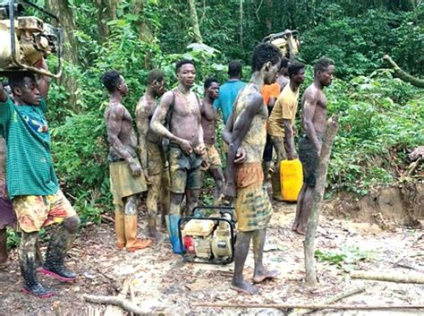 Forest Rescue Illegal Miners Busted Excavators Torched Graphic