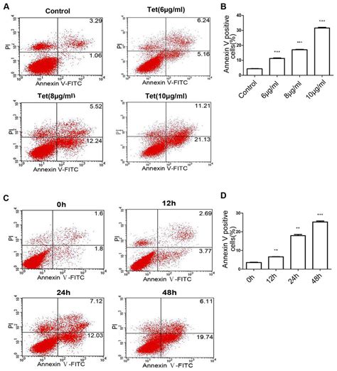 Apoptosis Of Bgc Cells Induced By Tetrandrine A Pi Annexin V Fitc