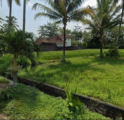 Dijual Tanah Siap Bangun Area Pakisaji Malang Luasan 500 Meter