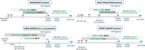 Frontiers Short Agonist Stop Protocol An Ovarian Stimulation For