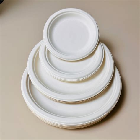 Bagasse Biodegradable Disposable Restaurant Sugarcane Dishes Paper