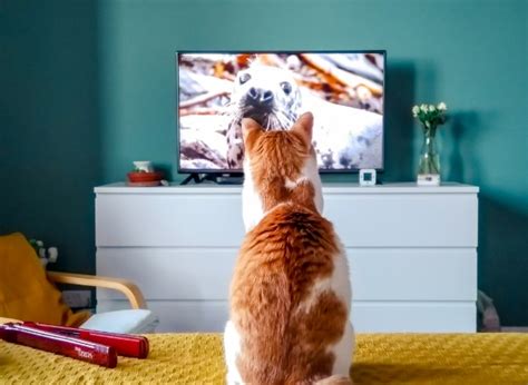 najboljih tv serija koje treba pogledati ovog listopada