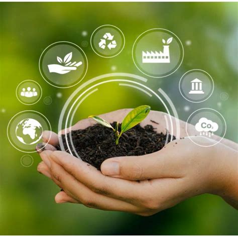 Conservação Ambiental - Conceito, ameaças e estratégias