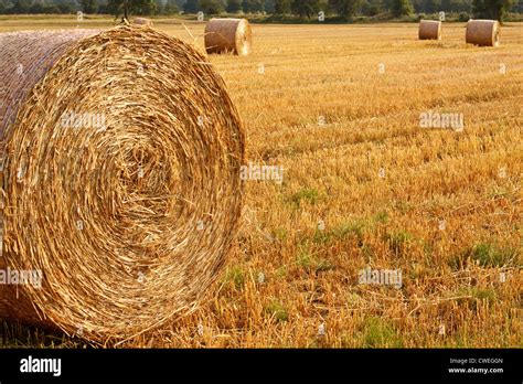 Hay Bales Hi Res Stock Photography And Images Alamy