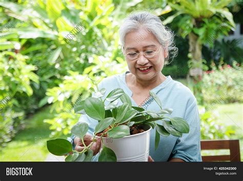 Elderly Asian Women Image And Photo Free Trial Bigstock