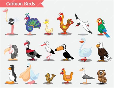 Illustration Vectorielle De Différents Types Doiseaux Oiseaux De