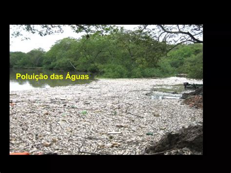 Poluicao da agua | PPT