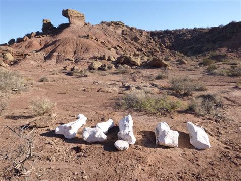 Behold Meraxes, Argentina’s Ancient ‘Giant Dragon’ - Atlas Obscura