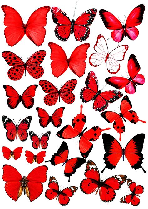 красные бабочки | Butterfly cake topper, Butterfly printable ...