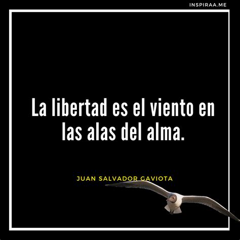 66 Frases De Juan Salvador Gaviota Sobre La Libertad Y El Crecimiento