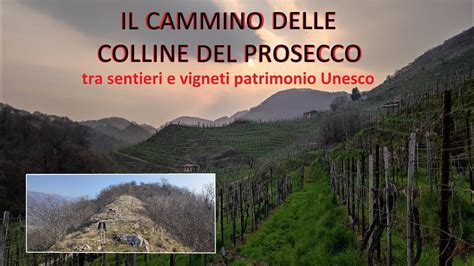 Il Cammino Delle Colline Del Prosecco Tra Sentieri E Vigneti