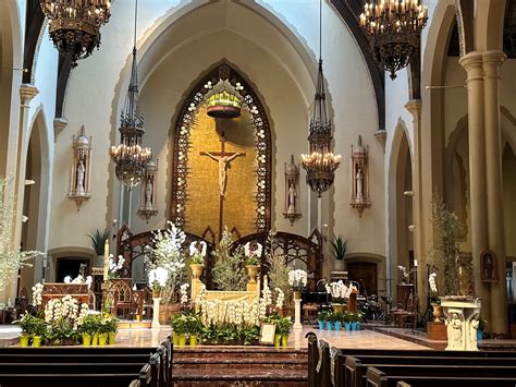 St. John Vianney... - St. John Vianney Catholic Church