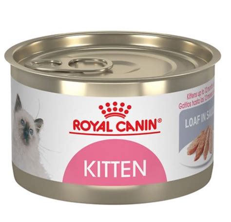 The 6 Best Wet Foods For Your Kitten In 2021