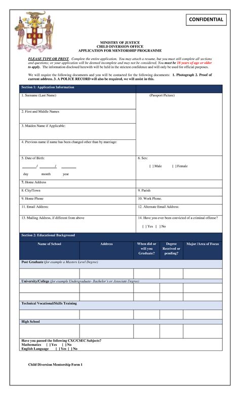 Mentorship Application Form 2019 Ministry Of Justice Child Diversion