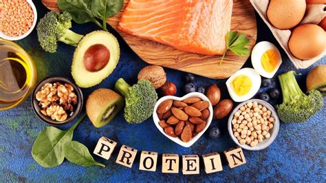 Protein là gì Vai trò và chức năng của Protein