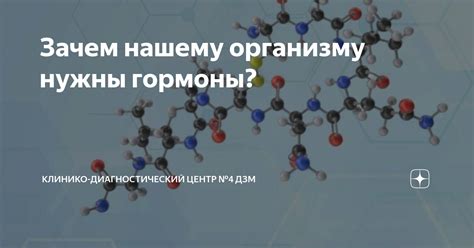 Зачем нашему организму нужны гормоны? | Клинико-диагностический центр ...
