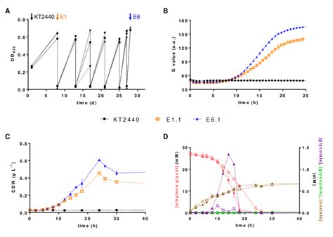 Adaptive Laboratory Evolution Of P Putida Kt2440 On Ethylene Glycol