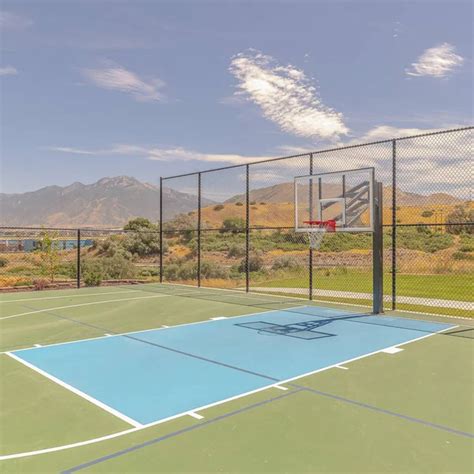 Green basketball Images - Search Images on Everypixel