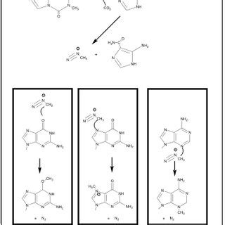 Chemical Mechanism For The Induction Of Dna Damage By Temozolomide