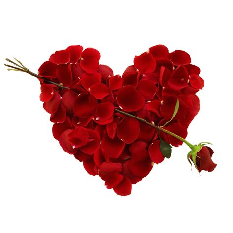 Fichier PNG De Coeur De Fleur Rouge PNG Mart