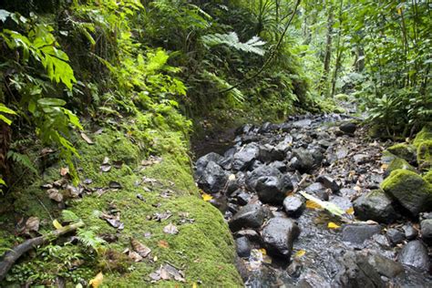 Pohnpei waterfalls | Travel Story and Pictures from Federated States of ...