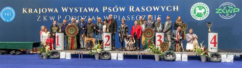 Ix Krajowa Wystawa Ps W Rasowych Zkwp Piaseczno