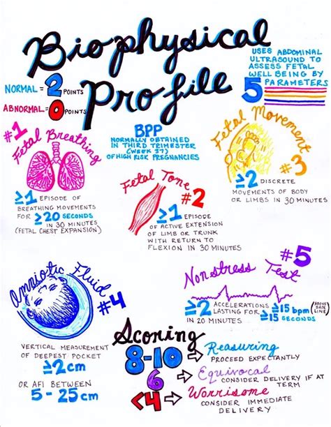 Obgyn Notes Hansonsanatomy Nursing School Notes Pediatric Nursing