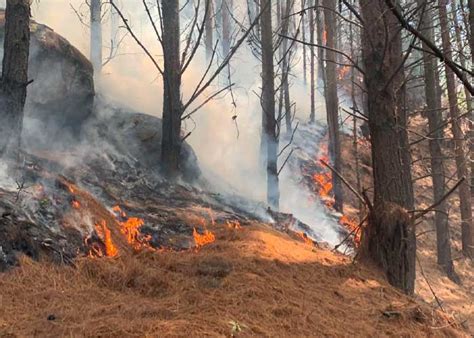 Tres Incendios Forestales Azotan Sin Piedad Colombia Y La Capital