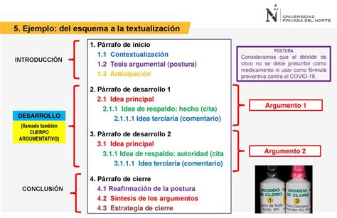 El proceso de redacción desarrollo y revisión El texto argumentativo