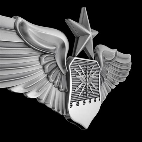 USAF Senior Combat Systems Officer Wings Badge 3D model | CGTrader