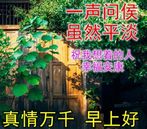 一声问候，一份牵挂， 一句祝福，安暖相伴最好的都会永恒