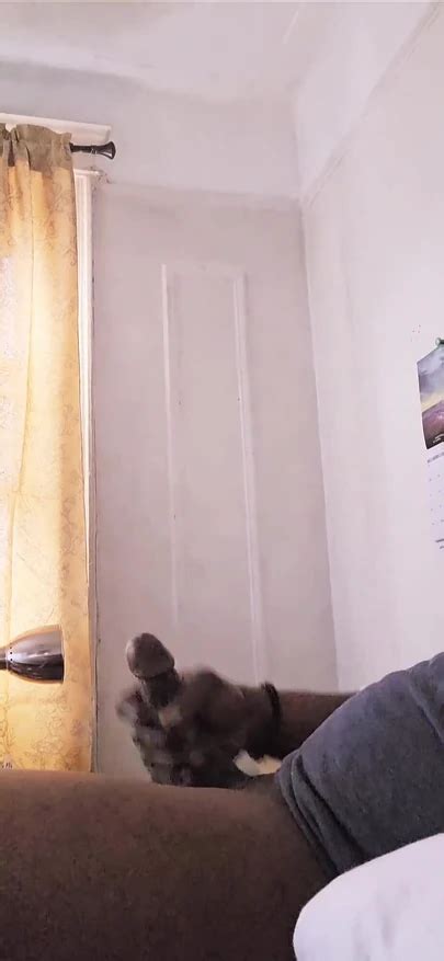 Jerked Off Cuz I Didnt Have A Fat Dick To Put In My Mouth Gay Black Black Porn XHamster