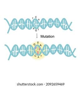 Deoxy Ribonucleotide Images Stock Photos Vectors Shutterstock