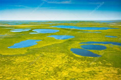 Paisaje De La Tundra Rtica En Verano R Os Lagos Vegetaci N Del Norte