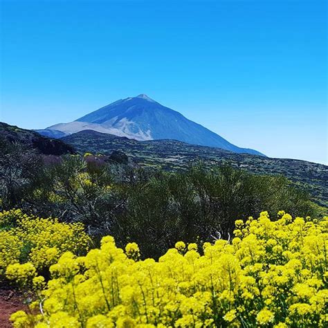 - volcano Teide on Tenerife island along the private VIP tour with ...