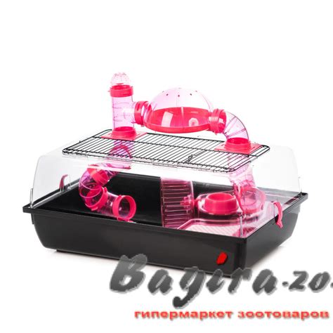 Купить Клетка-террариум с лабиринтом для грызунов Inter-Zoo G132 Alex ...