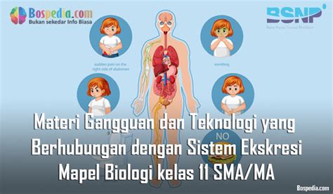 Materi Gangguan Dan Teknologi Yang Berhubungan Dengan Sistem Ekskresi