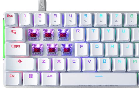 Rog Falchion Ace Keyboards Rog Middle East