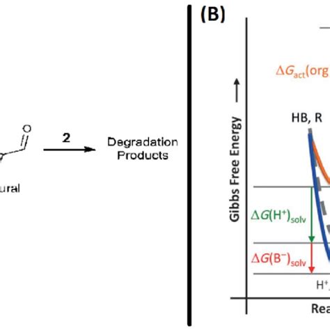 A Proposed Reaction Network For The Catalyzed Xylose Dehydration In